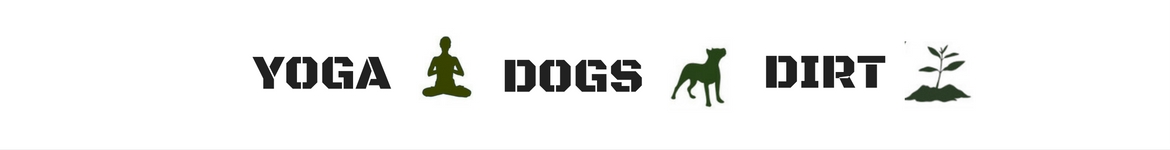 YOGA-DOGS-DIRT
