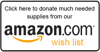 amazonWishListButton